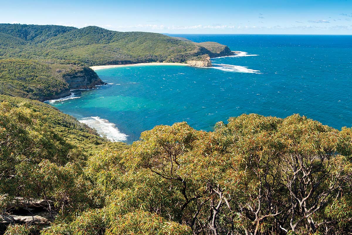 View onto Maitland Bay from Gerrin Point Lookout, Bouddi National Park near Woy Woy, NSW. Credit: NSW Department of Planning and Environment / Don Fuchs