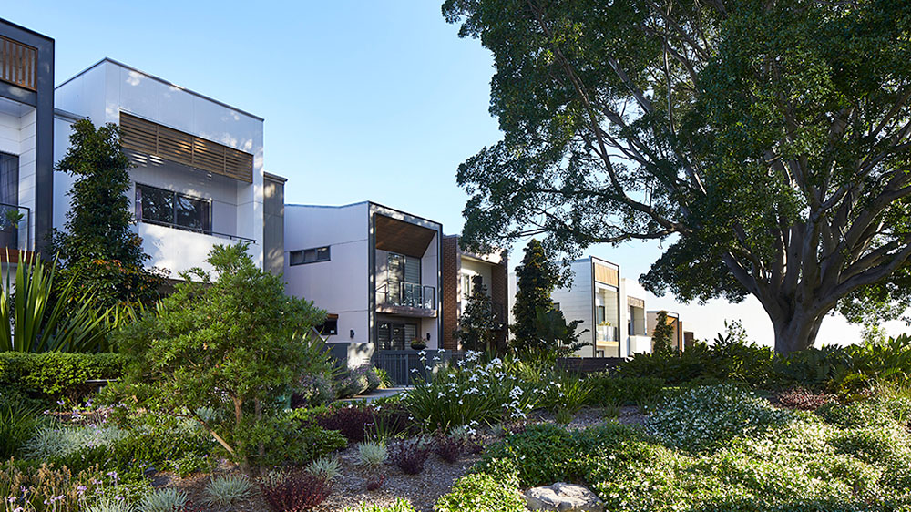 The Putney Hill development in Ryde includes mature trees, parkland and a community garden Credit: Martin Mischkulknig. Source: Cox Architecture