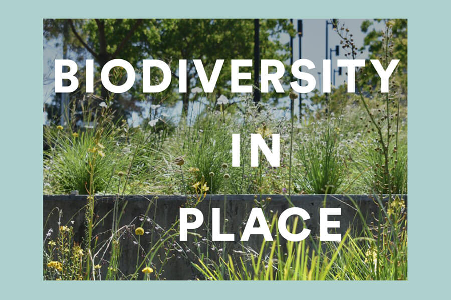 Biodiversity in Place