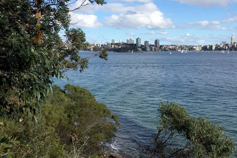 Part of the city of Sydney skyline as seen from Sydney Harbour National Park.
