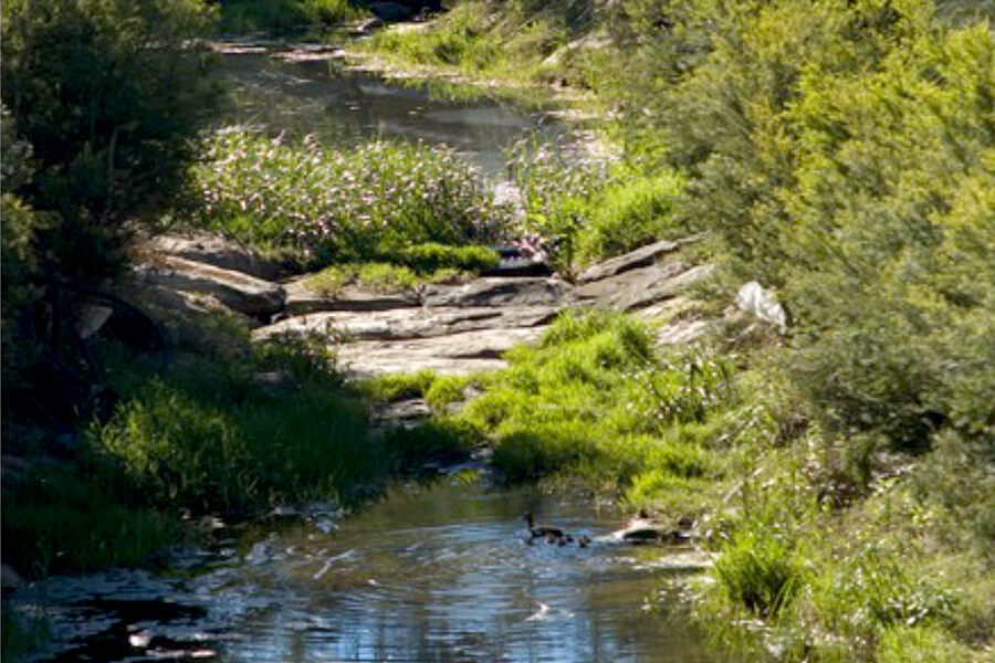 Waterway located in a NSW regional park. Credit: Barbara Schaffer