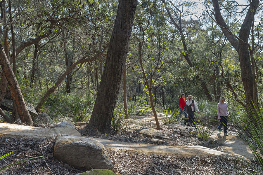 Wide-angel shot of three people and a dog walking along a new trail in Nandi Reserve. There is bushland all around them.