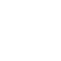 nswg_pictogram_fill_generator_white.png