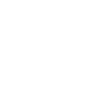 nswg_pictogram_fill_pylon_2_white.png