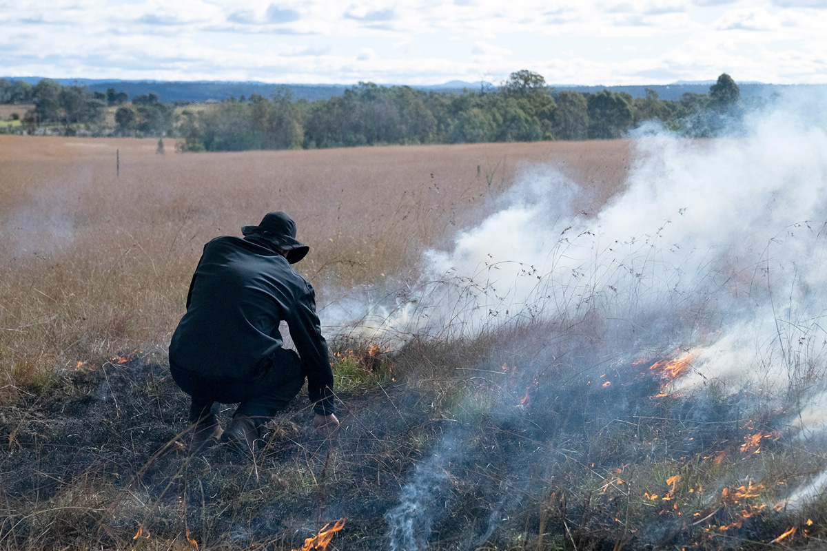 Cultural burning as a part of Aboriginal land management. Credit: NSW Department of Planning, Housing and Infrastructure