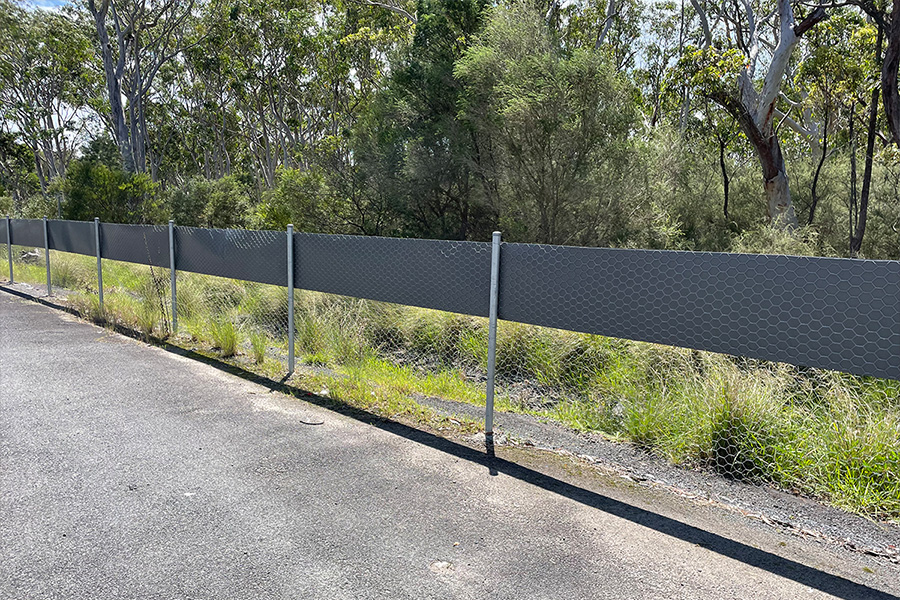 Fencing along roadsides to protect koalas. Image credit: Bear Hunt photography.