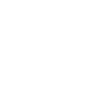 nswg_pictogram_fill_common-files_white.png