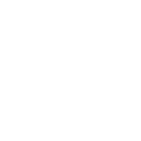 nswg_pictogram_fill_information-protection_white.png