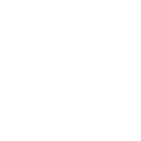 nswg_pictogram_fill_teamwork-1_white.png