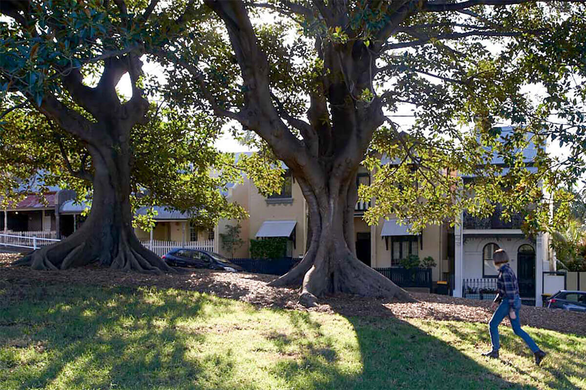 Person walking in a park opposite a row of terrace houses. Credit: Government Architect NSW