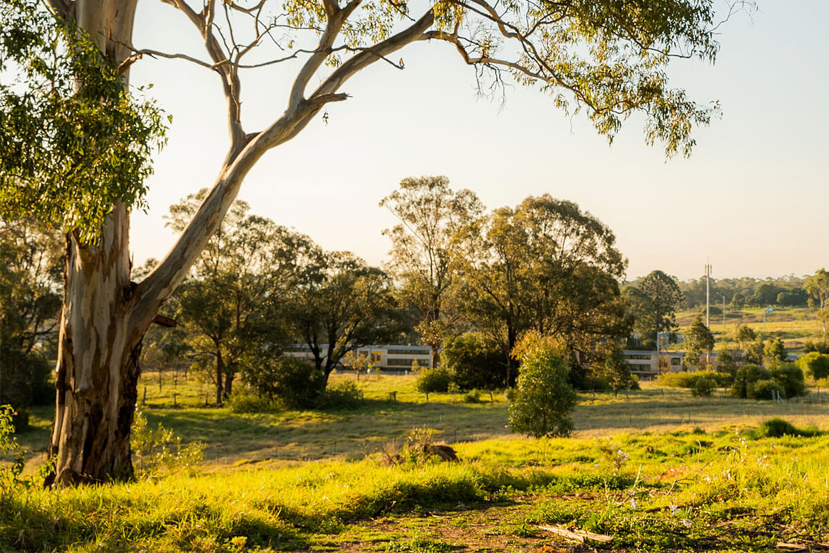 Leppington Park will sit along Camden Valley Way on the western end of the bushland opposite Forest Lawn Memorial Park.