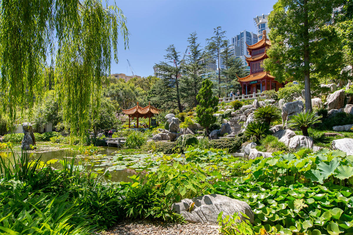 Located in the southern end of Darling Harbour, nestled between Darling Quarter and Darling Square, the Chinese Garden of Friendship is a collaborative effort between Sister States of NSW and Guangdong of China.