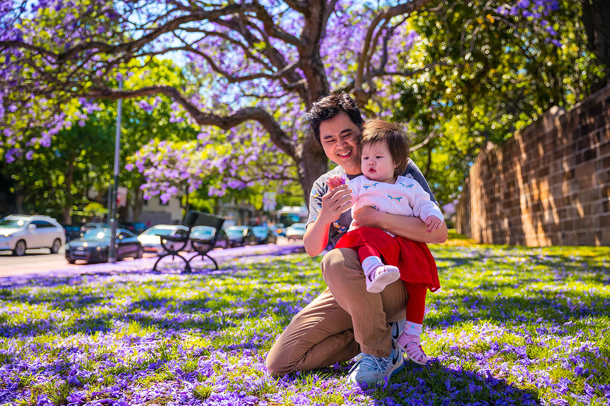 Jacaranda trees in full bloom along Oxford Street, Paddington NSW. Credit: Destination NSW