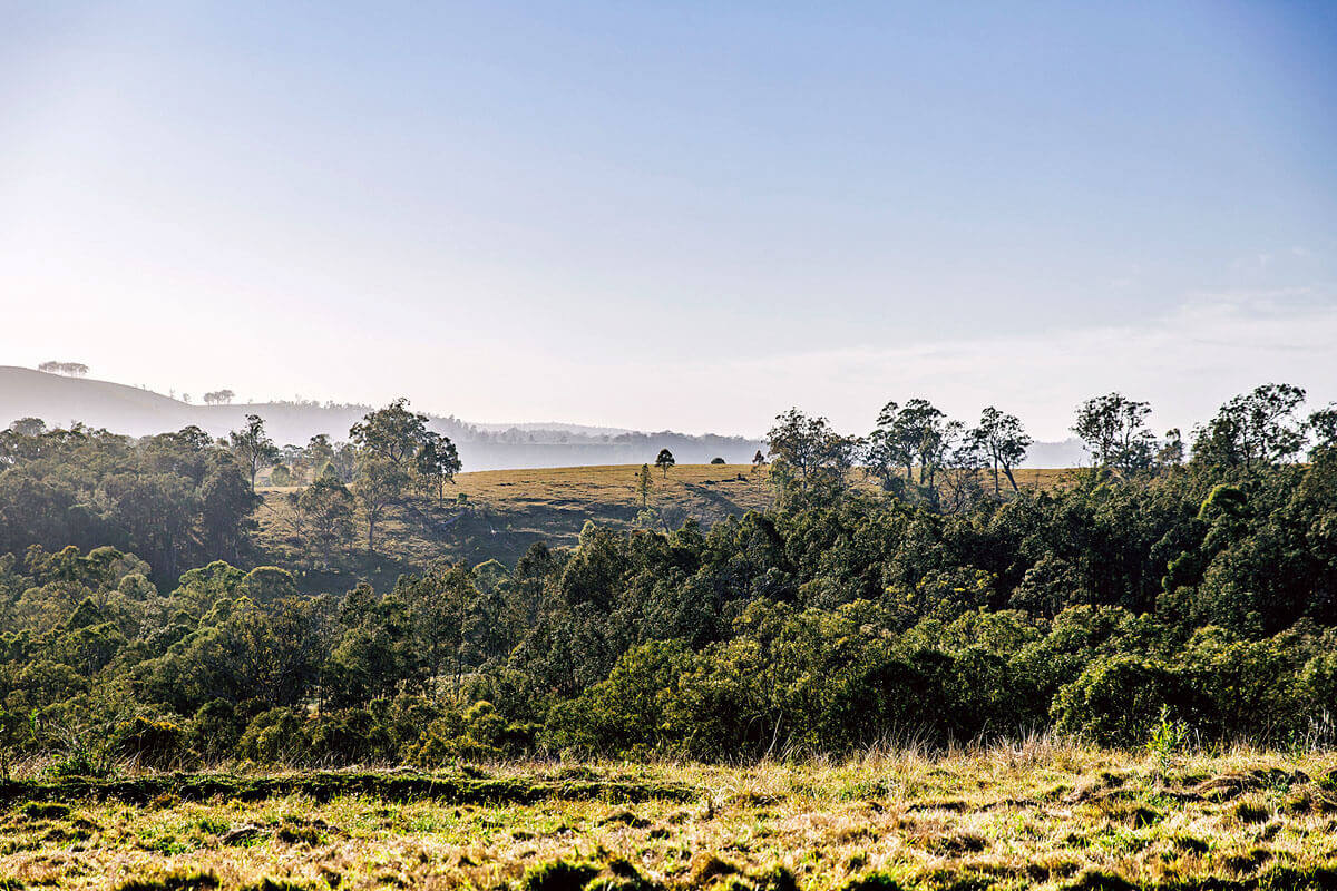 Landscape view of the hills and bushland at Dungog Common NSW. Credit: Shannon Richmond/DPE