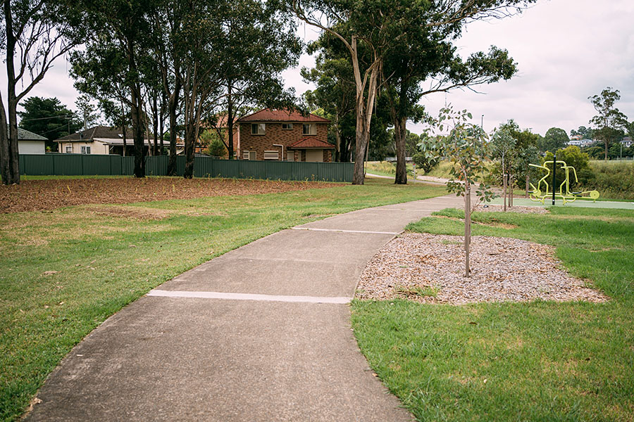 6,500 trees at Breakfast Creek near Marayong Reserve, providing increased amenity to local residents and shade for users of the walk and nearby sports grounds.