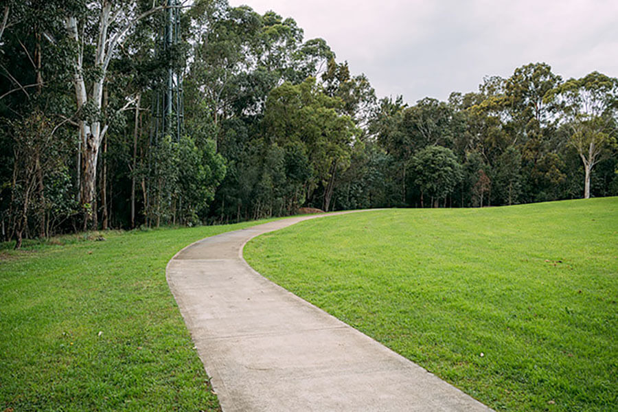 Significant weed removal and regenerative planting of 7,600 trees at 7 locations along Toongabbie Creek, Parramatta.