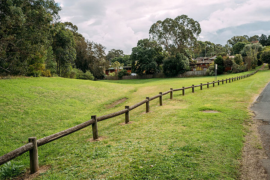 A partnership with Landcare NSW to plant 8,000 trees at Toongabbie Creek, Parramatta.