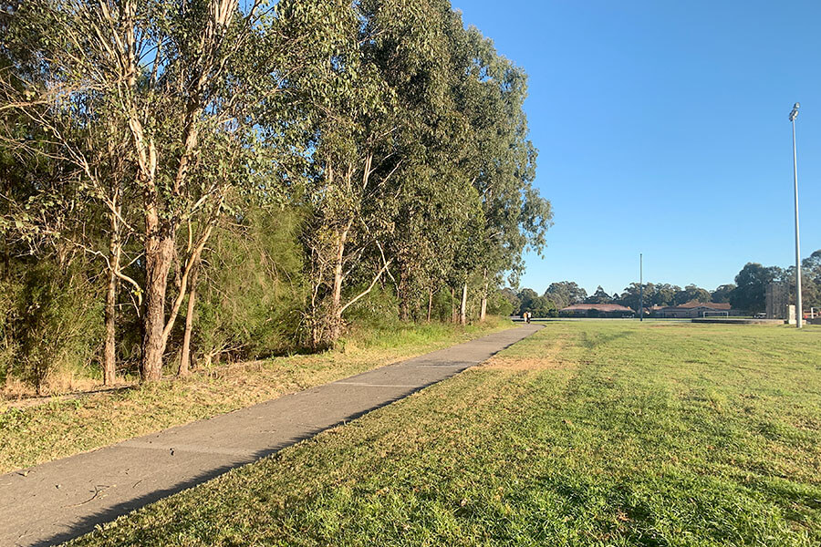 The continuation of a ‘green legacy corridor’ extending on the 2021 Great West Walk project, including planting 500 trees within Harvey Park and the Breakfast Creek corridor.