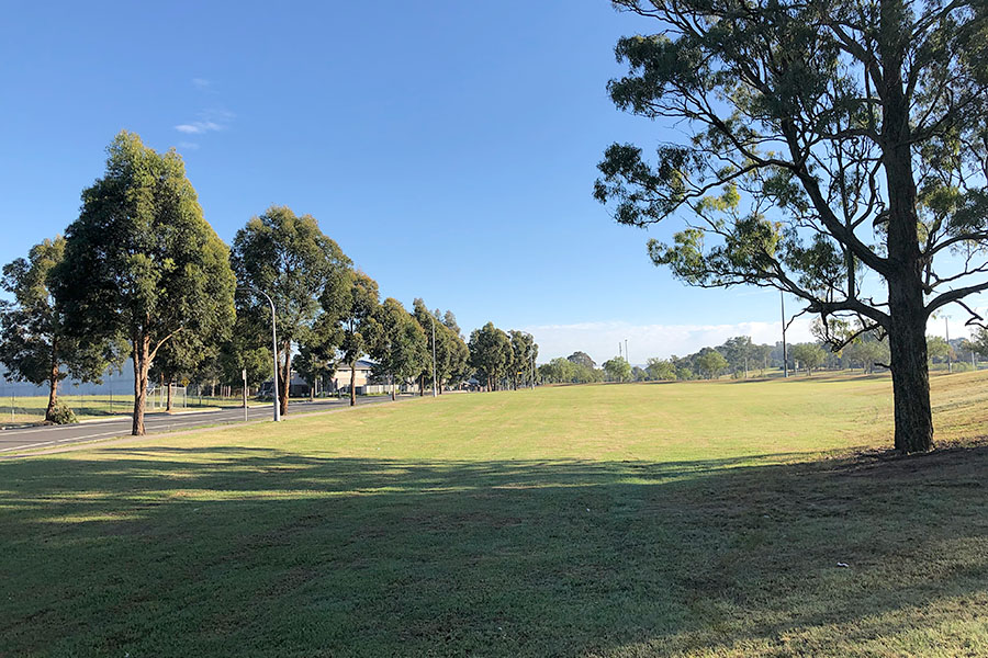 A proposal to create a 'bush food trail' with 4 rest areas along the walk with edible fruit trees and mulberry tree groves for people to interact with.