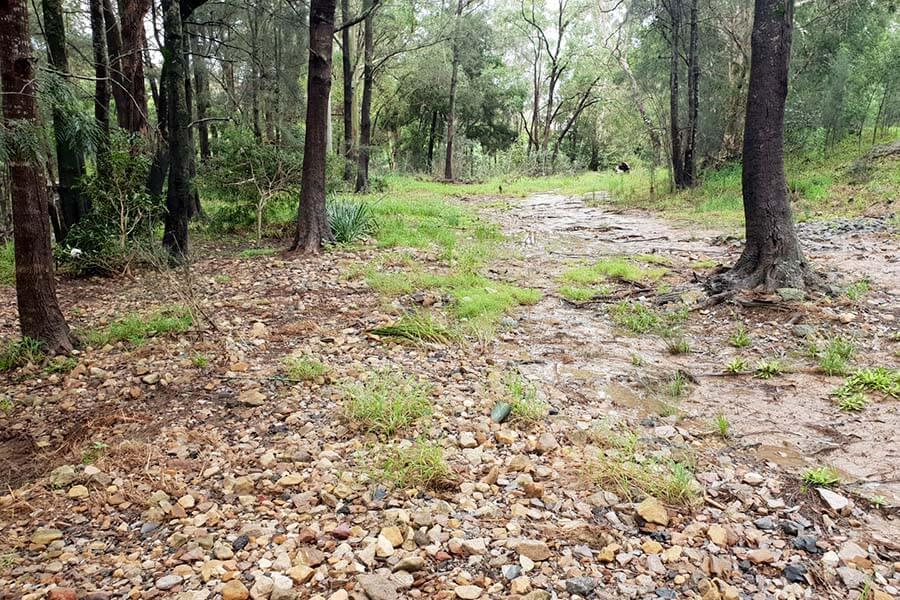 Rest areas close to the 5 km and 10 km points of the Great West Walk. The works will consist of planting approximately 1,410 trees, signage detailing and seating upgrades at Yana Yirabana Reserve and Sue Savage Reserve.