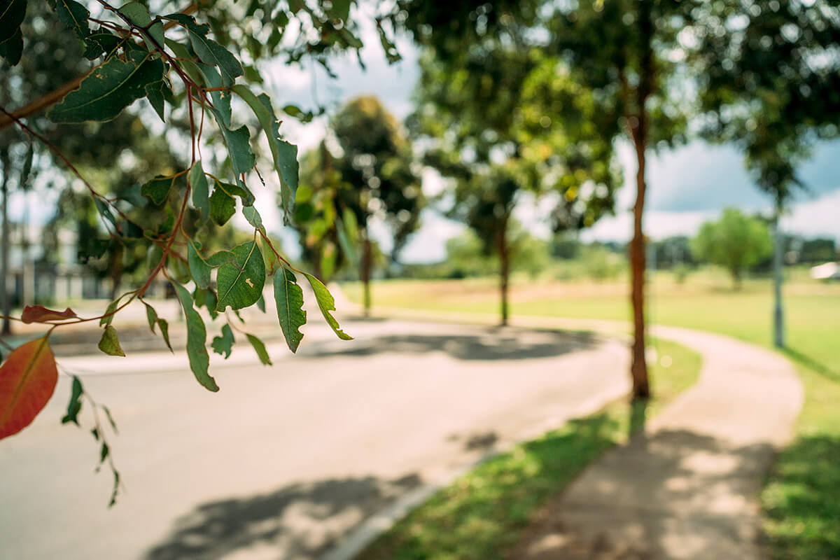 Part of the Great West Walk, an urban trail that stretches from Parramatta Park to the base of the Blue Mountains on the lands of the Darug nation.