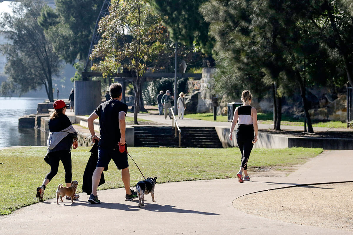 People walking dogs along Blackwattle Bay Park, Glebe, Sydney.