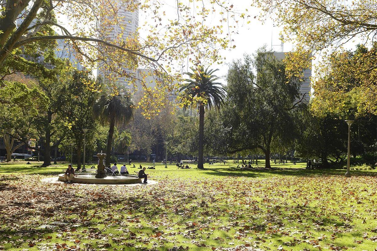 People sitting around a fountain in a park surrounded by a variety of trees and fallen leaves.